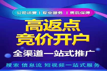 行业领先企业的信息流竞价策略揭秘